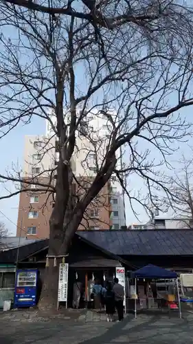 札幌諏訪神社のその他建物
