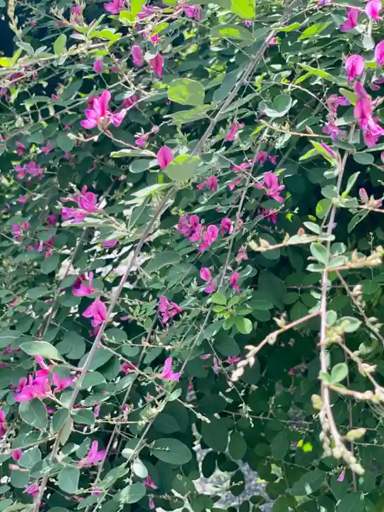 勝念寺(かましきさん)(京都府)
