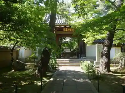 道場寺の山門・神門