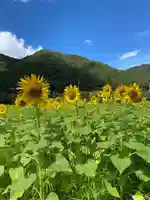天神社(岡山県)