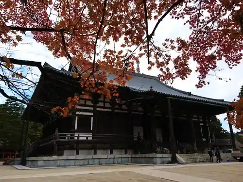 壇上伽藍の本殿・本堂