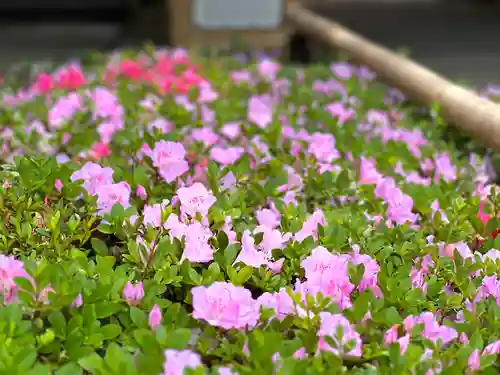 白蓮坊のその他建物