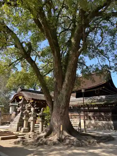 藤森神社の{uncategorized: "未分類", other: "その他", undefined: "問題あり", building: "その他建物", grave: "お墓", sacred_gate: "鳥居", guardian: "狛犬", statue: "像", buddha: "仏像", history: "歴史", nature: "自然", garden: "庭園", animal: "動物", pagoda: "塔", temizu: "手水舎", mountain_gate: "山門・神門", sanctuary: "本殿・本堂", subordinate: "末社・摂社", art: "芸術", scenery: "景色", jizo: "地蔵", ema: "絵馬", goshuin: "御朱印", omikuji: "おみくじ", items: "授与品その他", amulet: "お守り", goshuincho: "御朱印帳", eats: "食事", festival: "お祭り", votive_dance: "神楽", shichigosan: "七五三参", wedding: "結婚式", experience: "体験その他", initially: "初詣", around: "周辺", anti_infection: "感染症対策"}