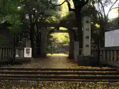 赤坂氷川神社の鳥居