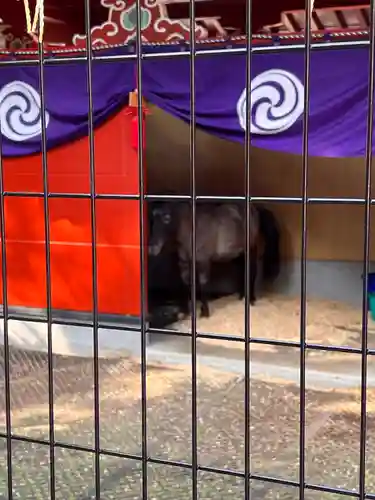 神田神社（神田明神）(東京都)