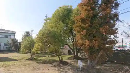 八龍社（稲島）の景色