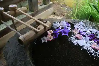 鹿島大神宮の手水舎