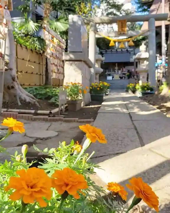 高円寺氷川神社の鳥居