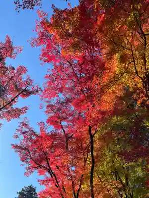来迎院(京都府)