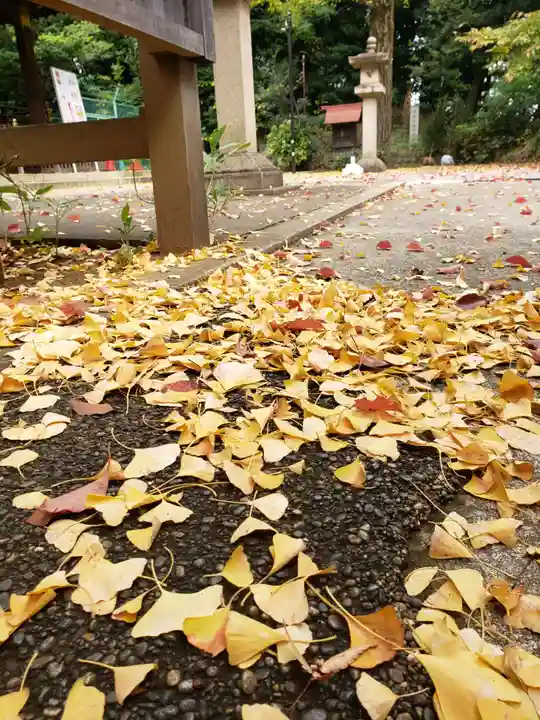 渋谷氷川神社(東京都)