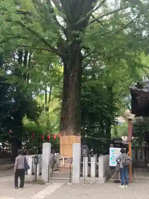 田無神社(東京都)