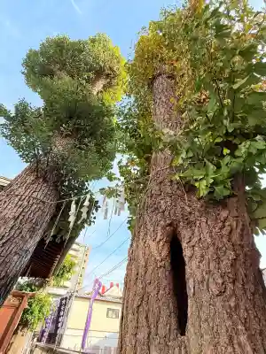 安倍晴明神社（阿倍王子神社境外末社）(大阪府)