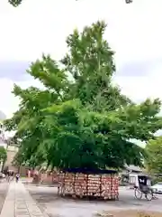 今戸神社(東京都)