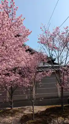 長徳寺(京都府)