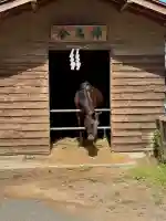 小室浅間神社(山梨県)