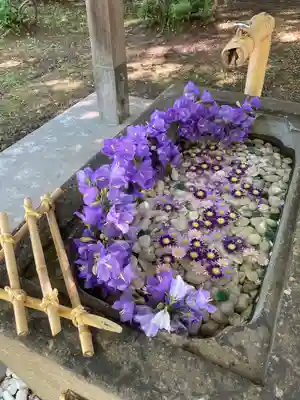 北広島市総鎮守 廣島神社の手水舎