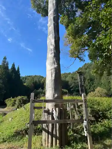 諏訪大社上社前宮(長野県)