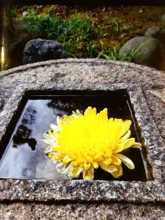 常性寺(東京都)