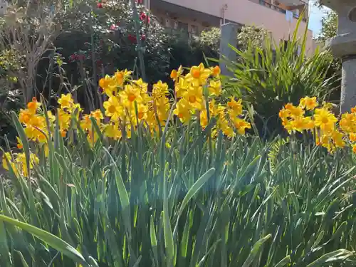 井際山 如意輪寺(愛知県)