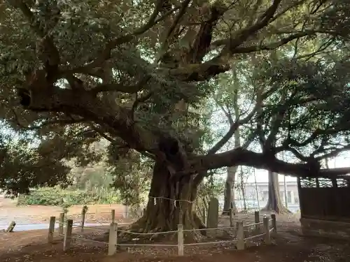 月讀神社の{uncategorized: "未分類", other: "その他", undefined: "問題あり", building: "その他建物", grave: "お墓", sacred_gate: "鳥居", guardian: "狛犬", statue: "像", buddha: "仏像", history: "歴史", nature: "自然", garden: "庭園", animal: "動物", pagoda: "塔", temizu: "手水舎", mountain_gate: "山門・神門", sanctuary: "本殿・本堂", subordinate: "末社・摂社", art: "芸術", scenery: "景色", jizo: "地蔵", ema: "絵馬", goshuin: "御朱印", omikuji: "おみくじ", items: "授与品その他", amulet: "お守り", goshuincho: "御朱印帳", eats: "食事", festival: "お祭り", votive_dance: "神楽", shichigosan: "七五三参", wedding: "結婚式", experience: "体験その他", initially: "初詣", around: "周辺", anti_infection: "感染症対策"}