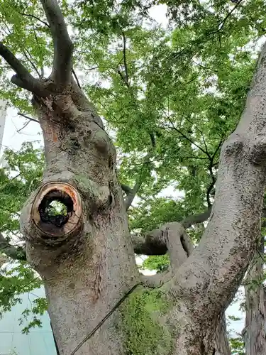阿邪訶根神社(福島県)
