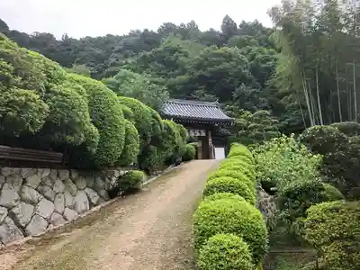 金剛寺(奈良県)