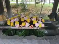 彌彦神社 (伊夜日子神社)の手水舎