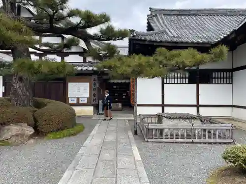 大覚寺(京都府)