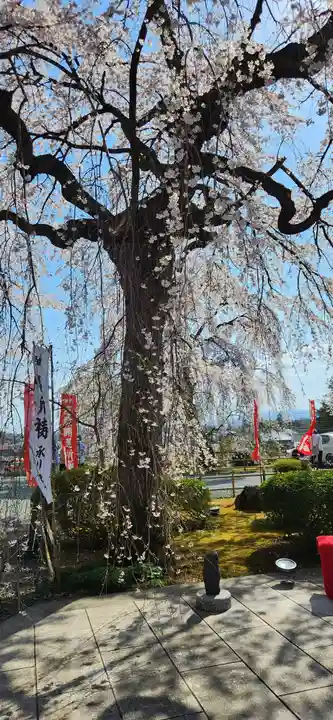 身照寺(岩手県)