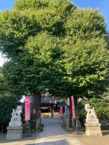 亀ケ池八幡宮(神奈川県)
