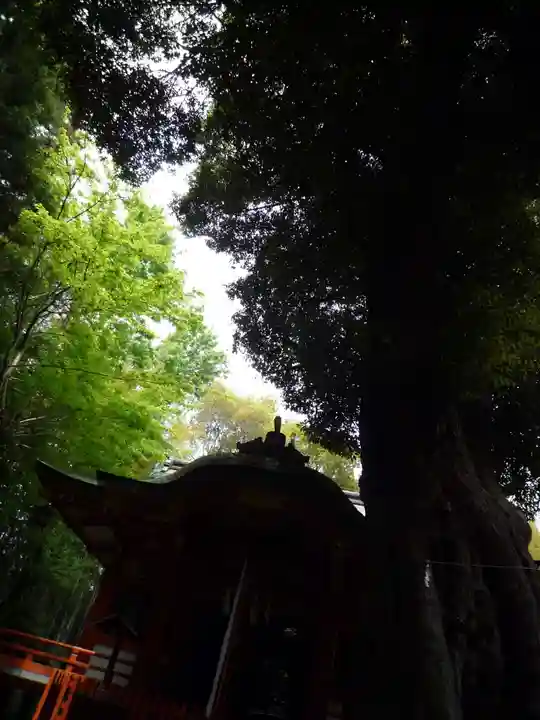大井香取神社(千葉県)