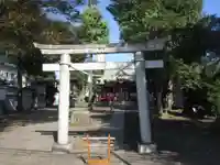 本多八幡神社(東京都)