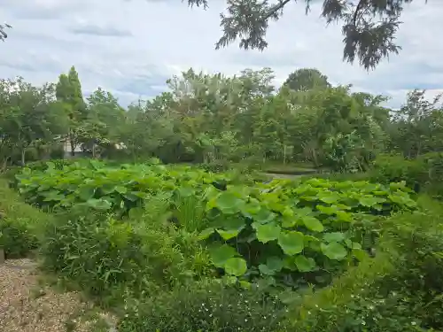 法華寺(奈良県)
