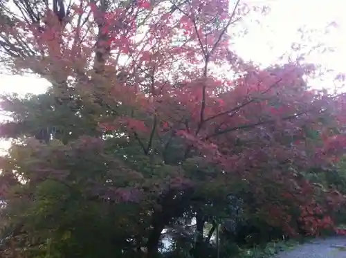 筑波山神社の自然