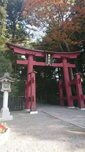 彌彦神社の鳥居