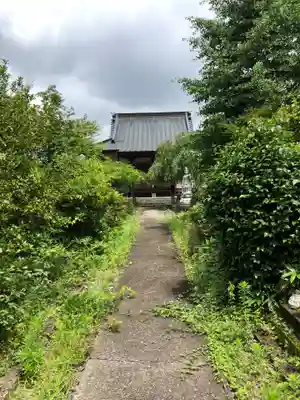大澤山　龍藏寺の本殿・本堂
