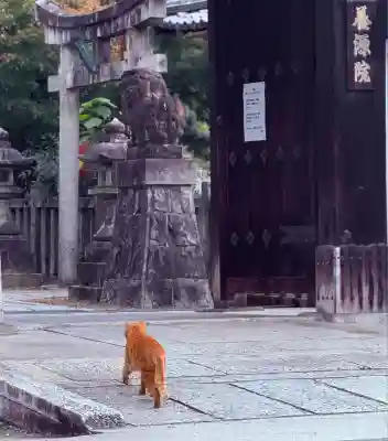 養源院(京都府)
