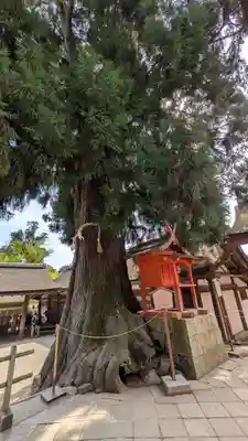 春日大社(奈良県)