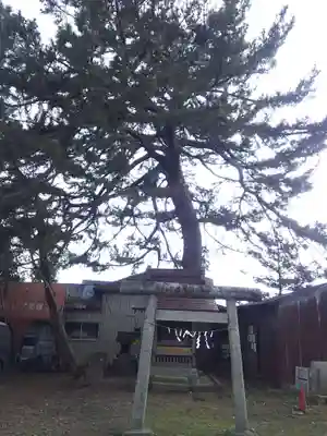 第六天神社のその他建物