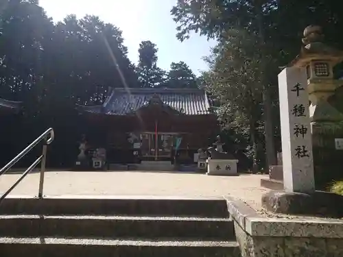 千種神社の本殿・本堂