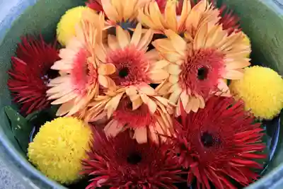 豊景神社の手水舎