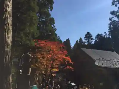 高野山金剛峯寺奥の院の本殿・本堂