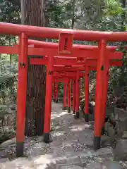 白笹稲荷神社の鳥居