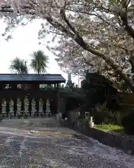 全忠寺の地蔵