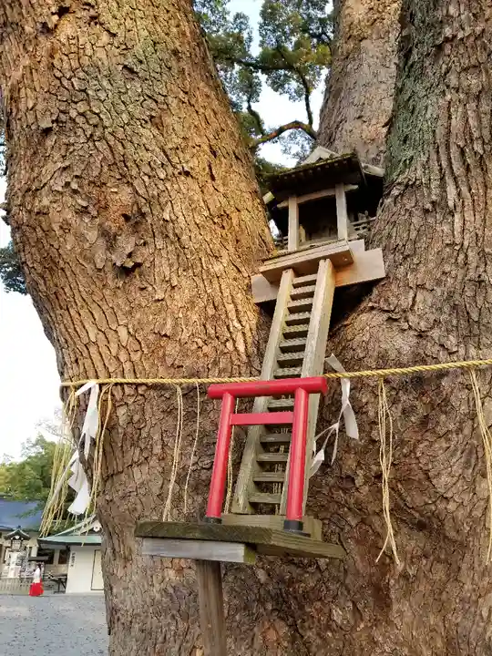 加藤神社(熊本県)