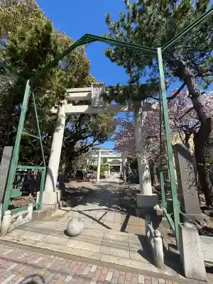 丸子神社　浅間神社の{uncategorized: "未分類", other: "その他", undefined: "問題あり", building: "その他建物", grave: "お墓", sacred_gate: "鳥居", guardian: "狛犬", statue: "像", buddha: "仏像", history: "歴史", nature: "自然", garden: "庭園", animal: "動物", pagoda: "塔", temizu: "手水舎", mountain_gate: "山門・神門", sanctuary: "本殿・本堂", subordinate: "末社・摂社", art: "芸術", scenery: "景色", jizo: "地蔵", ema: "絵馬", goshuin: "御朱印", omikuji: "おみくじ", items: "授与品その他", amulet: "お守り", goshuincho: "御朱印帳", eats: "食事", festival: "お祭り", votive_dance: "神楽", shichigosan: "七五三参", wedding: "結婚式", experience: "体験その他", initially: "初詣", around: "周辺", anti_infection: "感染症対策"}