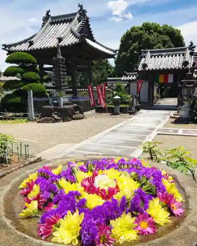 真言宗　善通寺派　薬王寺の手水