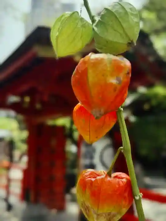 愛宕神社(東京都)
