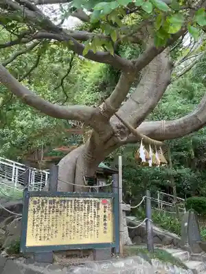 本牧神社(神奈川県)