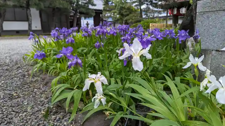得浄明院(善光寺別院)(京都府)